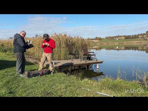 Видео: Як вам таке … ? Природа дуже гарна. 27.10.2024 р