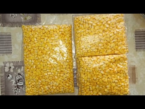 Видео: Сиз думбул жохорини кишга кандай сак,лайсиз ? 🤔🤔🤔