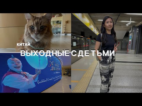 Видео: Жизнь в Китае | Как проводим выходные ВЛОГ