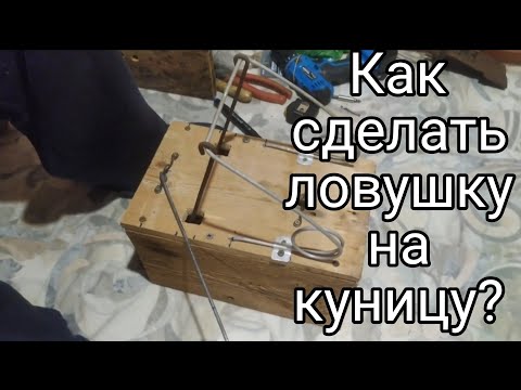 Видео: Как сделать ящичную ловушки на куницу.  #капканы #охота