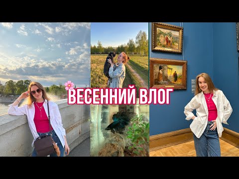 Видео: БУДНИ С ПОЛЕЙ ЖУРАВЕЛЬ: детский КВН | нас обманули на Фуд Сити | гуляем по Третьяковской галерее