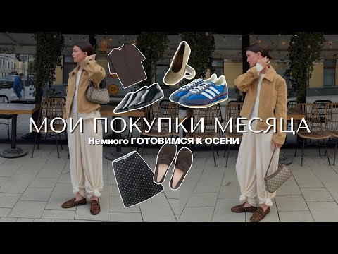 Видео: МОИ ПОКУПКИ МЕСЯЦА: шопинг влог Lime, Adidas, Aliexpress, Tezenis, Mango, СИН