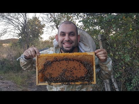 Видео: Ротация и подготовка за зимуване на пчелно семейство. Кошер тип- 8 рамков ЛР (България 1300 години.)