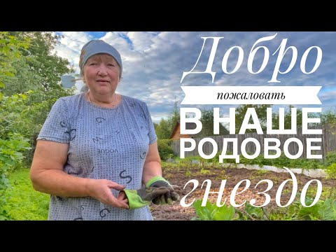 Видео: Добро пожаловать к нам в ДЕРЕВНЮ || все помощники уехали 🤷🏻‍♂️ копаю с Божьей помощью🙏