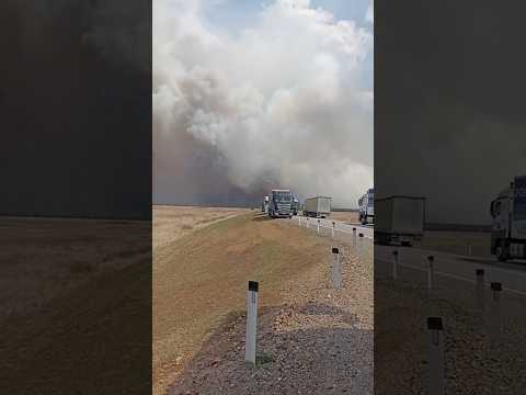 Видео: В Читу дороги нет верховой пожар