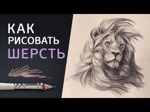 Видео: КАК РИСОВАТЬ ШЕРСТЬ животных карандашом // 3 способа