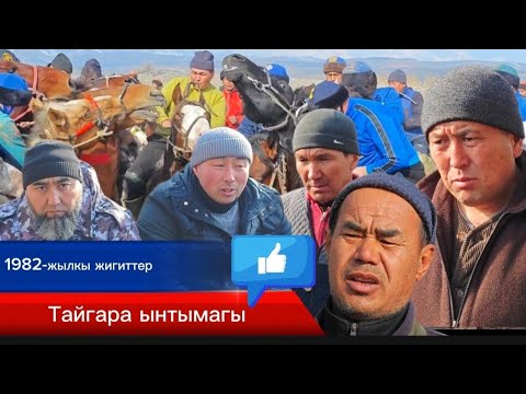 Видео: Тайгара ынтымак улагы