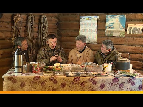 Видео: Үүтээн кэпсээнэ (22.11.20)