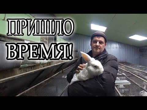 Видео: НАМ ПРИДЕТСЯ РАСПРОЩАТЬСЯ!