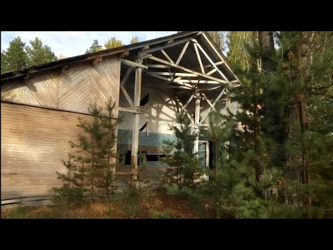 Видео: Посёлок  Пионерский. На краю цивилизации