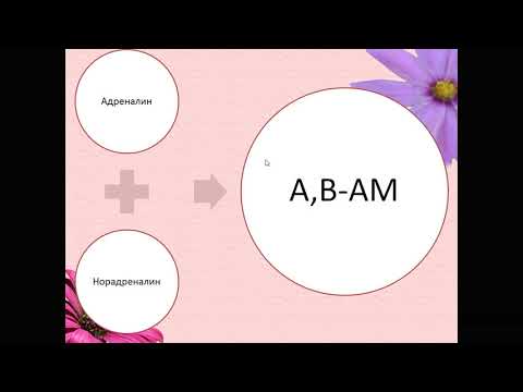 Видео: Адренергиялық синапс