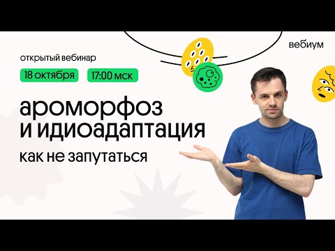 Видео: Ароморфоз и идиоадаптация
