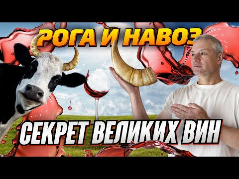 Видео: БИОДИНАМИЧЕСКОЕ ВИНОДЕЛИЕ — рога, навоз. СЕКРЕТ ВЕЛИКИХ ВИН