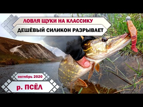 Видео: ДЕШЁВЫЙ силикон РАЗРЫВАЕТ ЩУКА! Верхний ПСЁЛ. Ловля щуки РАВНОМЕРНОЙ проводкой. Осень 2020