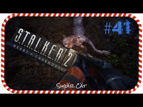 Видео: Кот-Баюн и другие приключения #41 😸 S.T.A.L.K.E.R. 2: Heart of Chornobyl