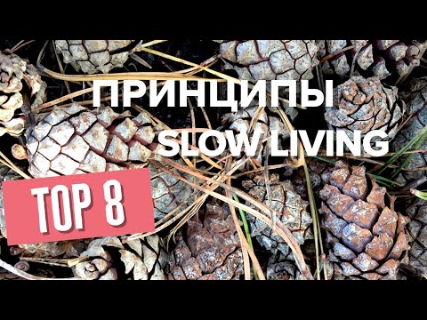 Видео: Минимализм и slow living в мегаполисе || Как не спешить жить?