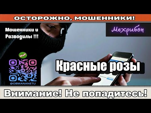Видео: Мошенники звонят по телефону / Красные розы ( сборник ).
