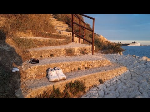 Видео: Кто это мог быть?