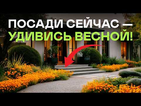 Видео: Цветы Растут Сами! Успейте Посеять Их Сейчас И Весной Будет Меньше Хлопот С Рассадой