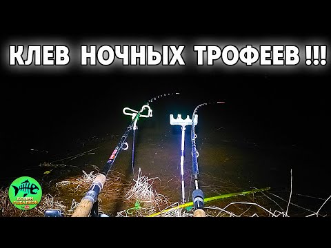 Видео: НЕРВНЫМ ЛУЧШЕ НЕ СМОТРЕТЬ. ЛОВЛЯ ЛЕЩА и СУДАКА ОСЕНЬЮ.НОЧНАЯ РЫБАЛКА НА ФИДЕР 2022 . Болен рыбалкой.
