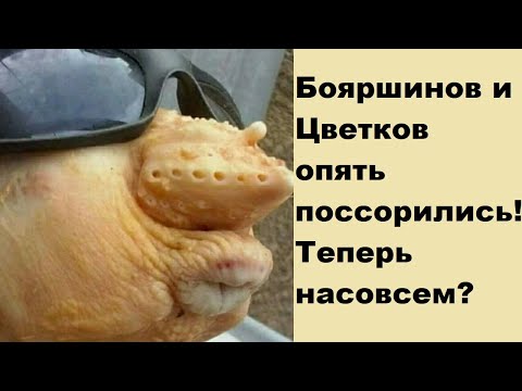 Видео: Бояршинов и Цветков опять поссорились! Теперь насовсем?