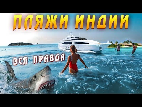 Видео: Море в Индии, Гоа - ГДЕ ЛУЧШЕ ОТДЫХАТЬ? Идеальный ПЛЯЖ в ГОА ☀️