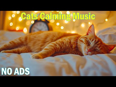 Видео: 12 часов расслабляющей музыки для кошек🐱Успокаивающие мелодии, которые помогут кошкам уснуть🐾Целит