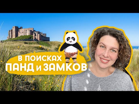 Видео: Зоопарк в Эдинбурге, китайские панды и замок Bamburgh