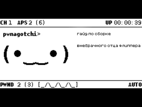 Видео: Pwnagotchi - как прошить и настроить