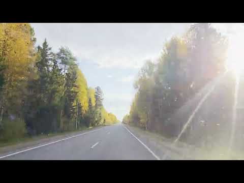 Видео: ХМАО-Югра Осень Природа