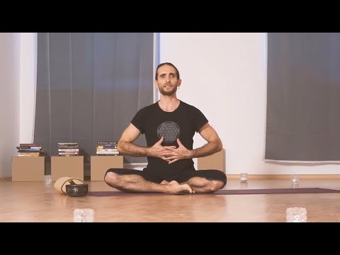 Видео: Йога вкъщи: Ащанга виняса за пречистване на органите