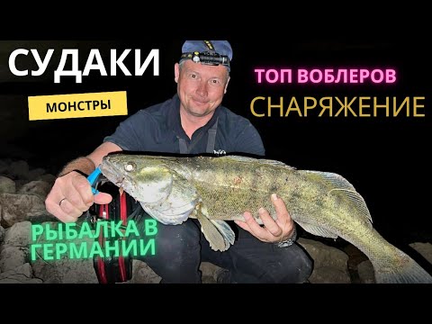 Видео: Топ воблеров на ночного судака. Судаки монстры. Рыбалка в Германии.