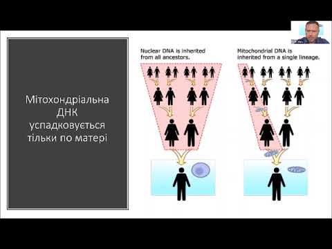 Видео: "Роль мітохондрій при порушенні нейророзвитку", Шейко М.В. Конференція 10 червня 2023 р