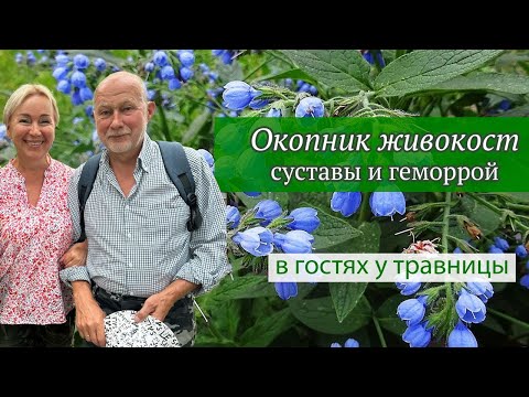 Видео: Окопник шершавый для суставов и костей — натуральное средство из народной медицины