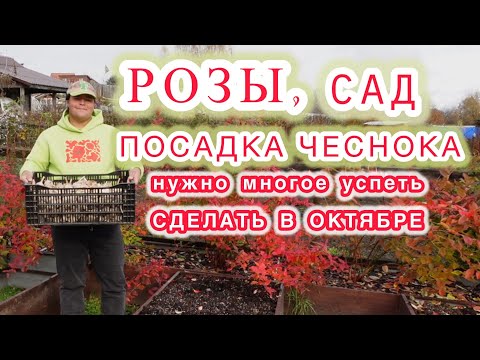 Видео: План работ и день забот в октябре