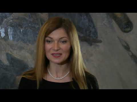 Видео: Переход Суворова через Альпы (Василий Суриков)