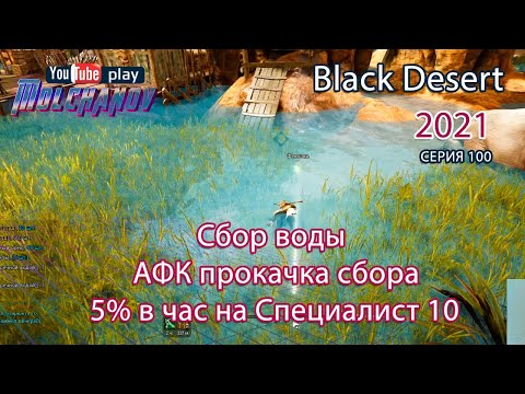 Видео: Сбор воды. АФК прокачка. Black Desert Фарм серебра 2021.