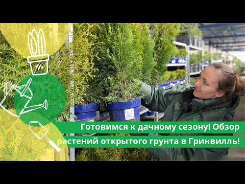 Видео: Готовимся к дачному сезону! Обзор растений открытого грунта в Гринвилль!