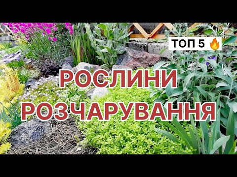 Видео: Не садіть ці рослини! Це Повне РОЗЧАРУВАННЯ!