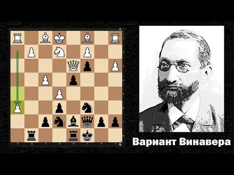 Видео: Французская защита. Вариант отравленных пешек. План с движением пешки h