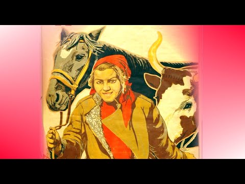 Видео: Аграрная реформа | Елена Прудникова