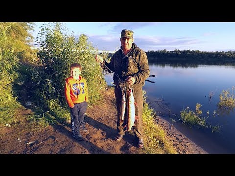 Видео: Река Чулым! Поймали Щуку на 5 кг за .....! Это что-то...!