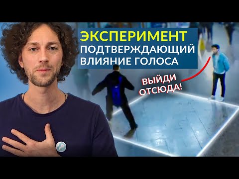 Видео: Как влиять на окружающих с помощью голоса.
