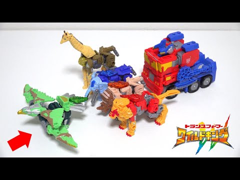 Видео: Животные превращаются в роботов!? 🐦 Робот в форме птицы из Sky Report! Трансформеры