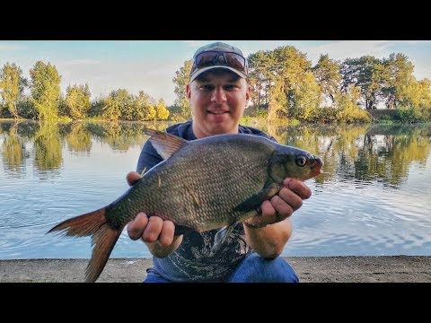 Видео: Рыбалка с ночевкой. Фидер на Москва реке. Ловим ЛЕЩА и ПЛОТВУ ФИДЕРОМ. Посиделки у костра. ДимаSh