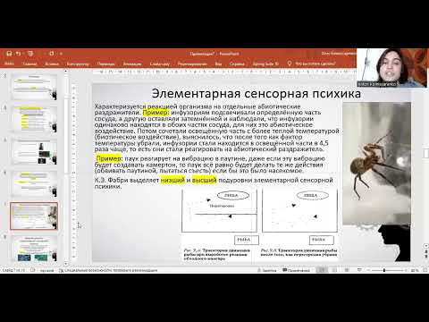 Видео: Психика. Эволюционное развитие психики. Проблема объективного критерия психики.