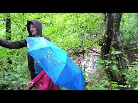 Видео: Жнибороди 18 20 липня 2025