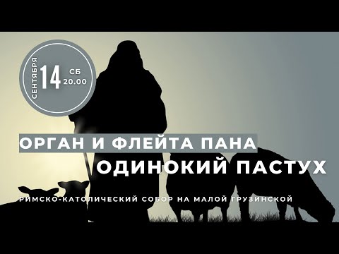 Видео: Одинокий пастух. Орган и флейта Пана – в Соборе на Малой Грузинской