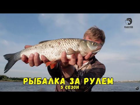 Видео: Рыбалка за рулем 5 // Выпуск 21