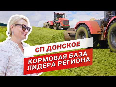 Видео: Как доить 11 000 кг/год? | СП Донское | Вера Пузанкова | Заготовка силоса | Молочное животноводство